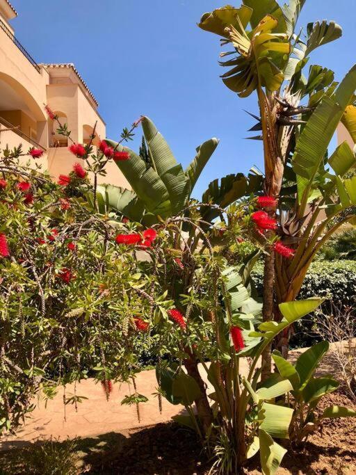 Gorgeous Located In Elviria *